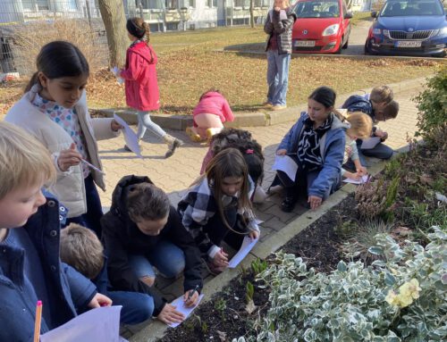 🌷Farbenpracht🌷