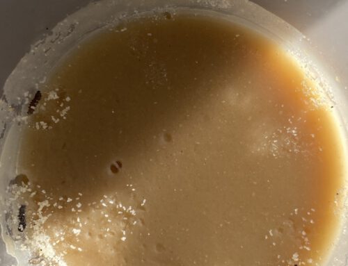 🐛 Kleine Raupen Nimmersatt 🐛